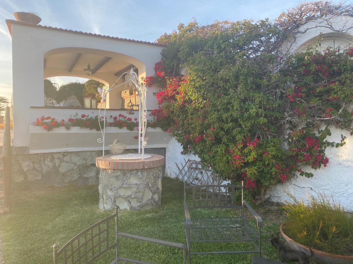 Dimorra Sun And Relax Villa Forio di Ischia Eksteriør billede